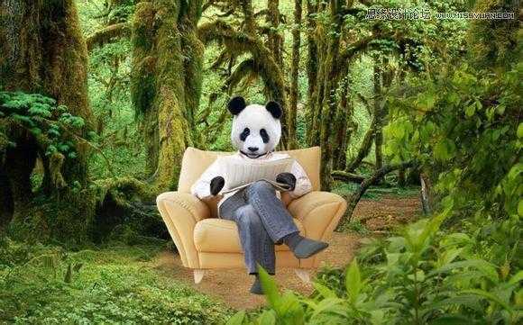 ‘用PS合成做在森林中看书的熊猫人‘