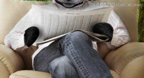 ‘用PS合成做在森林中看书的熊猫人‘