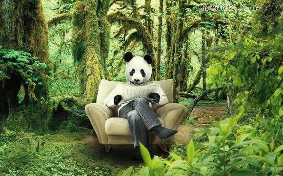 ‘用PS合成做在森林中看书的熊猫人‘