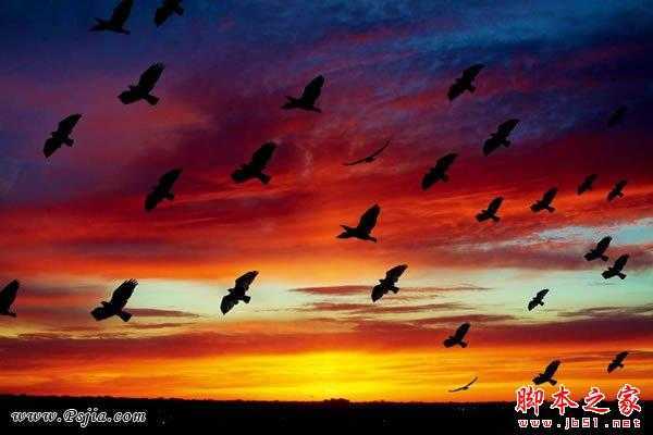 ‘photoshop巧用笔刷给天空添加飞鸟剪影‘