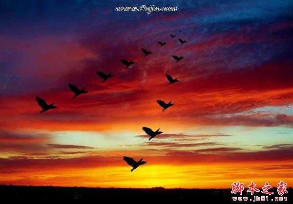 ‘photoshop巧用笔刷给天空添加飞鸟剪影‘