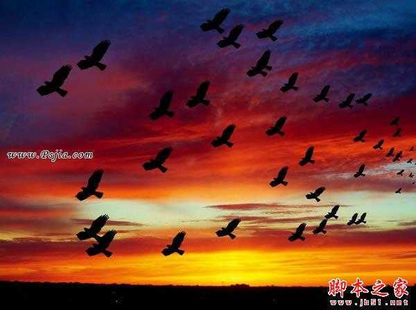 ‘photoshop巧用笔刷给天空添加飞鸟剪影‘
