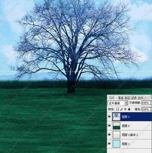 ‘Photoshop调出古树图片梦幻的潮流色‘