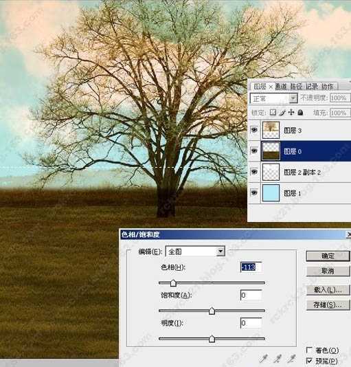 ‘Photoshop调出古树图片梦幻的潮流色‘