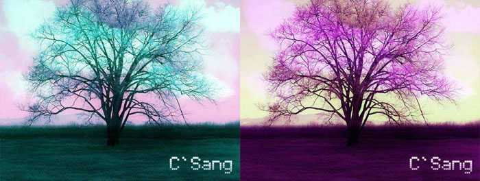 ‘Photoshop调出古树图片梦幻的潮流色‘