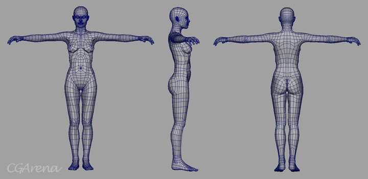 MAYA制作东方古典美女 脚本之家 MAYA角色教程 技术分享
