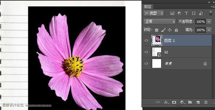 ‘Photoshop简单制作逼真漂亮的蓝色圆珠笔手绘花朵效果图‘