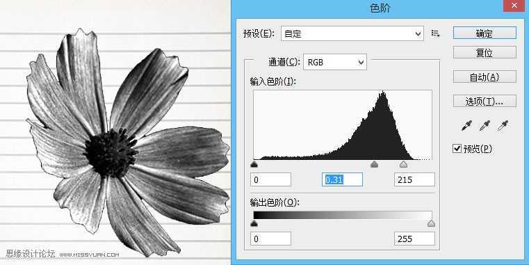 ‘Photoshop简单制作逼真漂亮的蓝色圆珠笔手绘花朵效果图‘