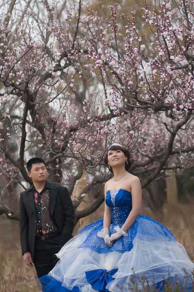 ‘Photoshop将阴沉的桃林婚片调制成阳光色彩效果‘