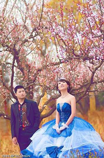‘Photoshop将阴沉的桃林婚片调制成阳光色彩效果‘