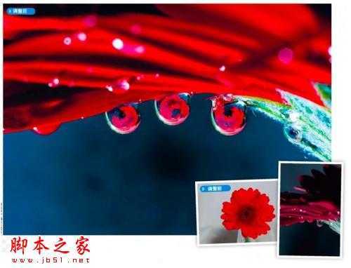 ‘PS教你制造出花瓣上水滴透视效果‘