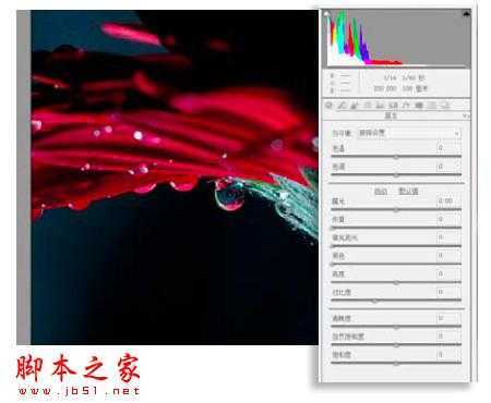 ‘PS教你制造出花瓣上水滴透视效果‘