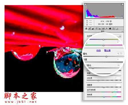 ‘PS教你制造出花瓣上水滴透视效果‘