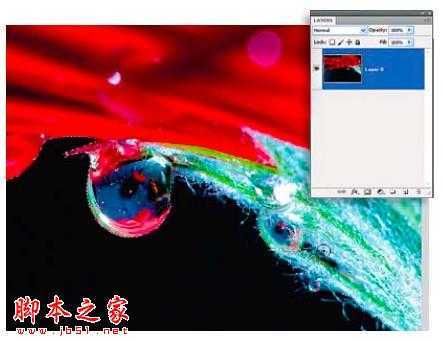 ‘PS教你制造出花瓣上水滴透视效果‘