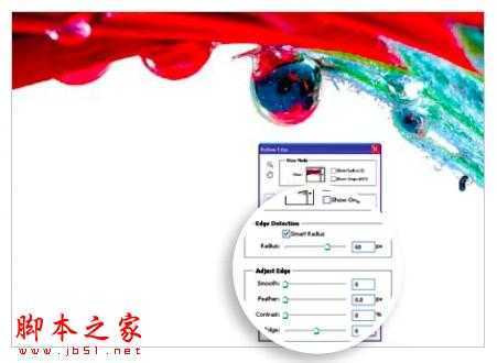 ‘PS教你制造出花瓣上水滴透视效果‘