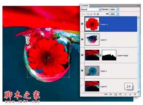‘PS教你制造出花瓣上水滴透视效果‘