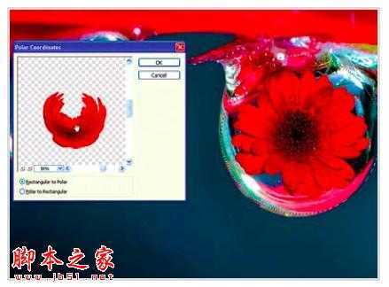 ‘PS教你制造出花瓣上水滴透视效果‘