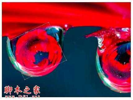 ‘PS教你制造出花瓣上水滴透视效果‘