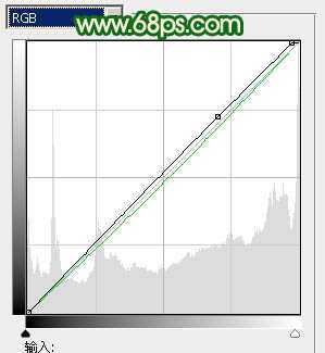 ‘Photoshop调出人物图片光亮的黄绿色‘