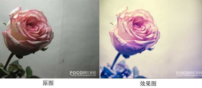 ‘photoshop调出唯美清新的花朵图片‘