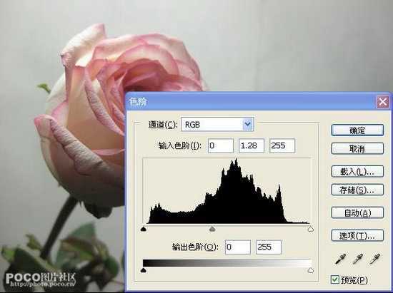 ‘photoshop调出唯美清新的花朵图片‘