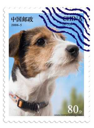‘PS和AI打造逼真邮票效果‘