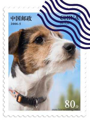 ‘PS和AI打造逼真邮票效果‘
