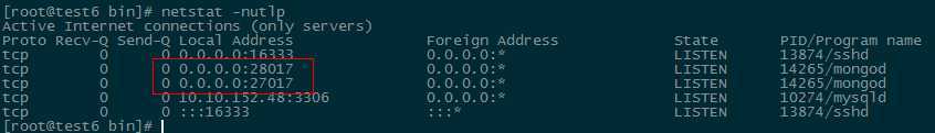 mongodb6