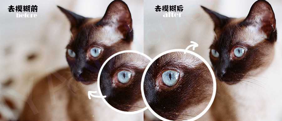 ‘Photoshop