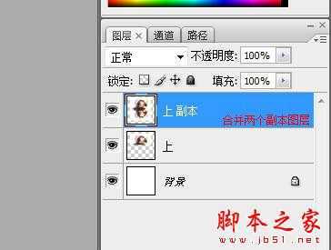 PS滤镜制作动态水波效果 脚本之家 PS滤镜教程 技术分享