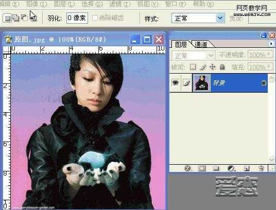 ‘photoshop快速使用通道抠图的详细动态演示‘