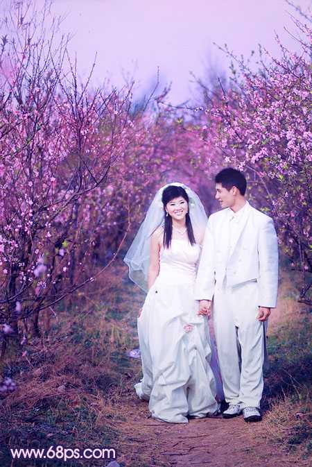 ‘Photoshop将桃林婚片调成艳丽的紫红色‘