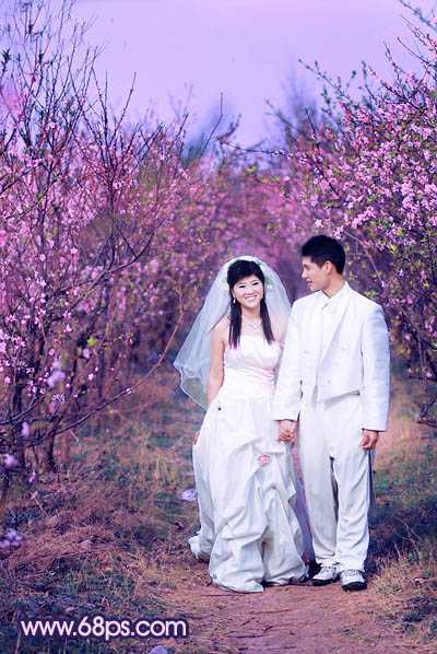 ‘Photoshop将桃林婚片调成艳丽的紫红色‘