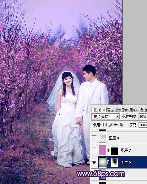 ‘Photoshop将桃林婚片调成艳丽的紫红色‘