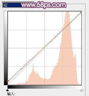 ‘Photoshop将偏暗野花中的美女图片调制出纯美的淡黄色‘