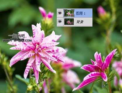 ‘photoshop将图片制作成梦幻柔焦(Orton
