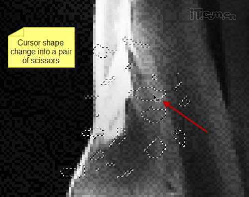 ‘photoshop经典合成梦幻的光影天使‘