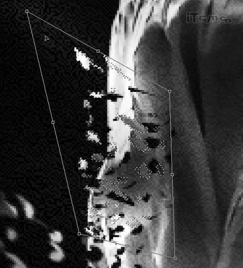 ‘photoshop经典合成梦幻的光影天使‘