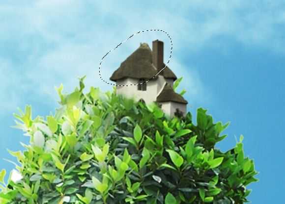 ‘PS教你打造超现实主义作品：长在身上的树‘