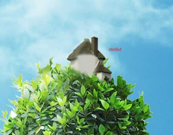 ‘PS教你打造超现实主义作品：长在身上的树‘