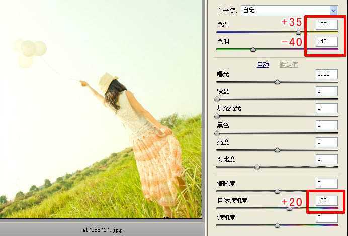‘Photoshop将原野人物图片增加上韩系淡绿效果‘