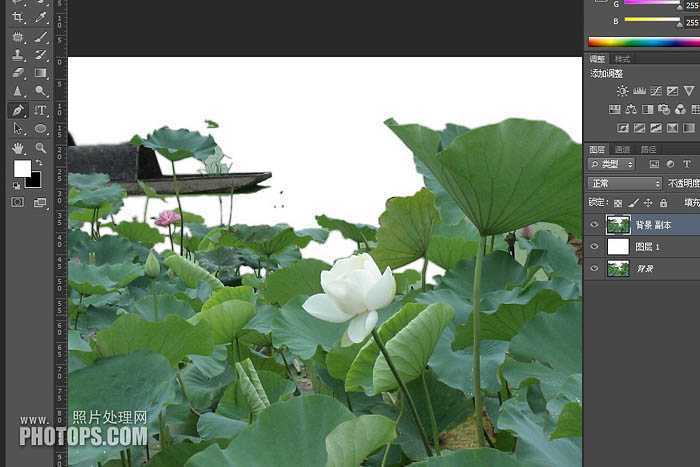 ‘PS利用渐变及滤镜制作古典水墨荷花图‘