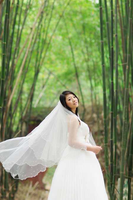 ‘Photoshop将竹林婚片调制出漂亮的古典黄绿色效果‘