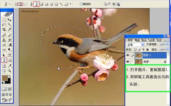 ‘Photoshop