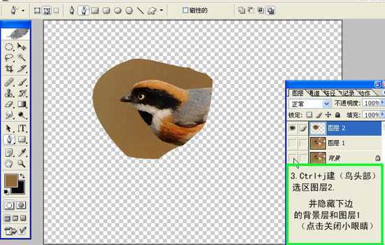 ‘Photoshop