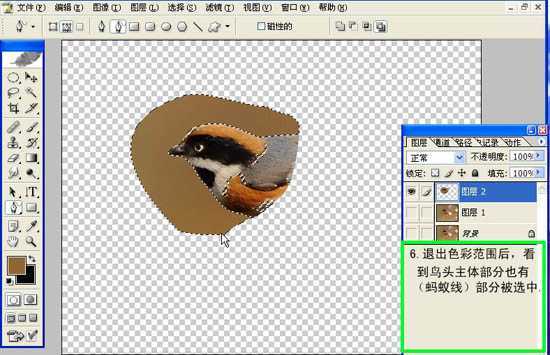 ‘Photoshop