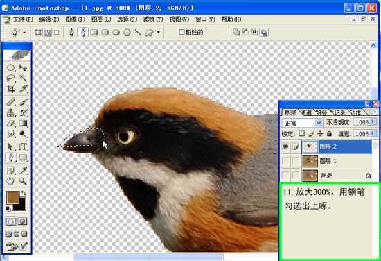 ‘Photoshop