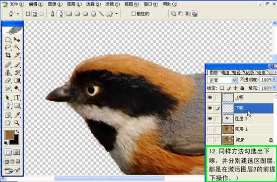 ‘Photoshop