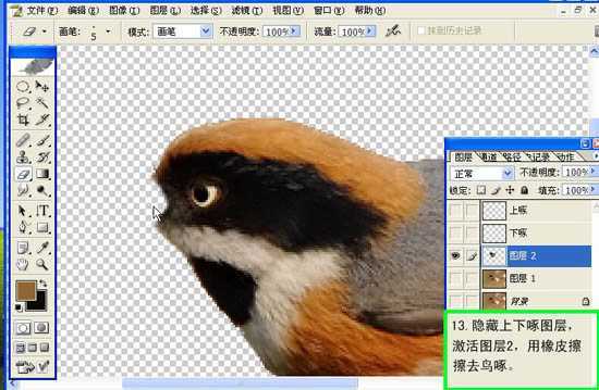 ‘Photoshop