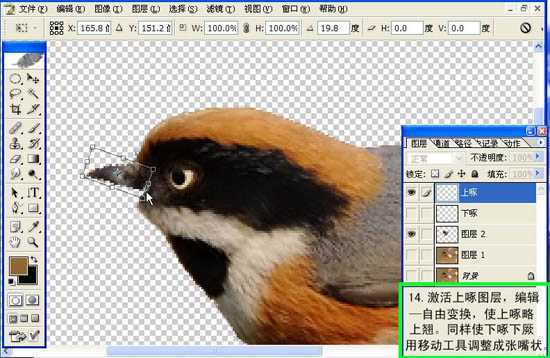 ‘Photoshop